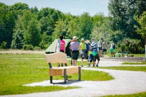 48036859352_a576ff5f33_b